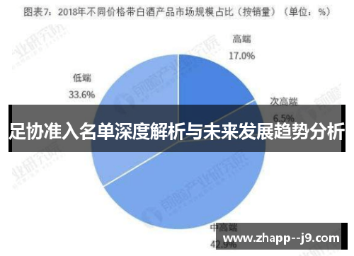 足协准入名单深度解析与未来发展趋势分析 足协准入名单深度解析与未来发展趋势分析