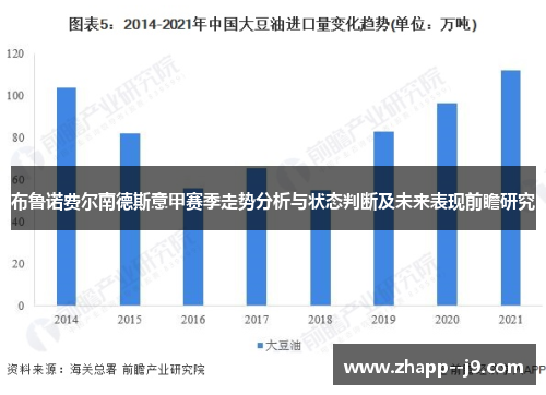 布鲁诺费尔南德斯意甲赛季走势分析与状态判断及未来表现前瞻研究